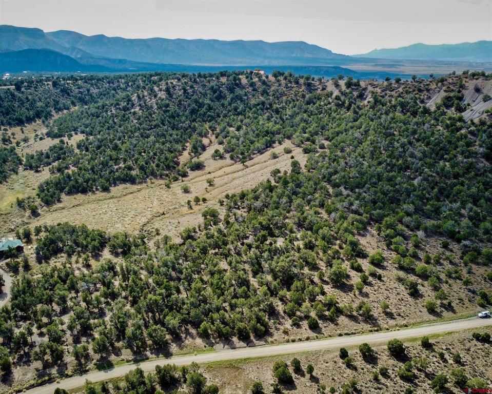 Tbd Road 35 Mancos CO 81328