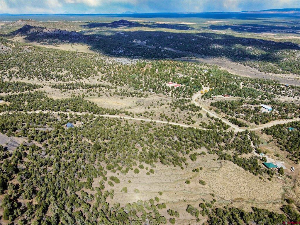 Tbd Road 35 Mancos CO 81328