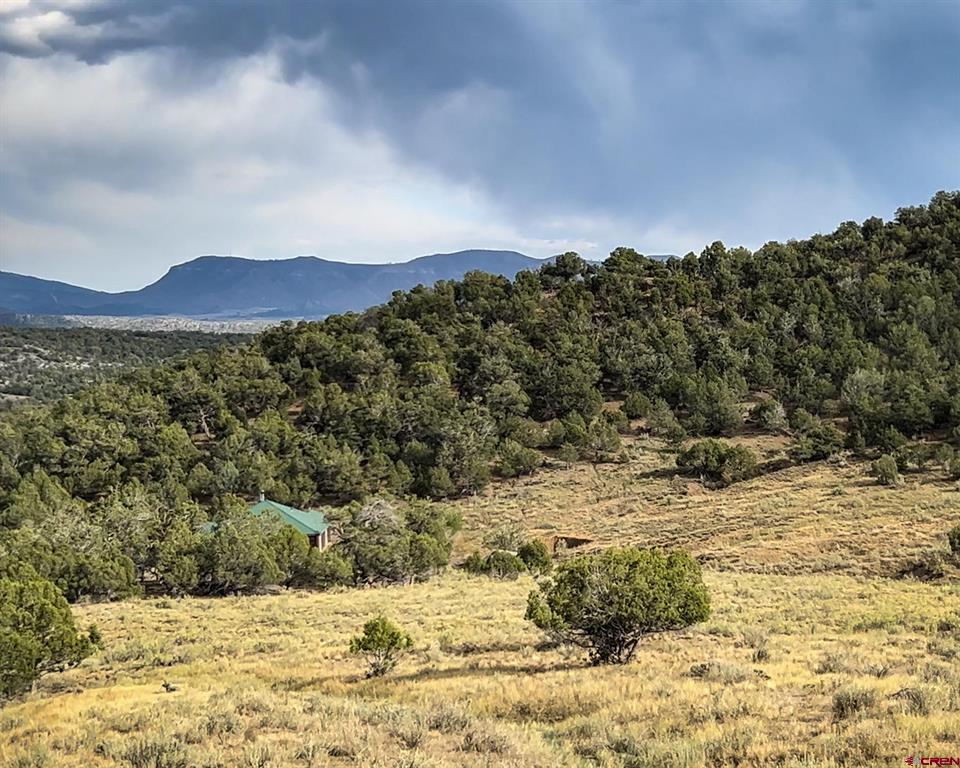 Tbd Road 35 Mancos CO 81328