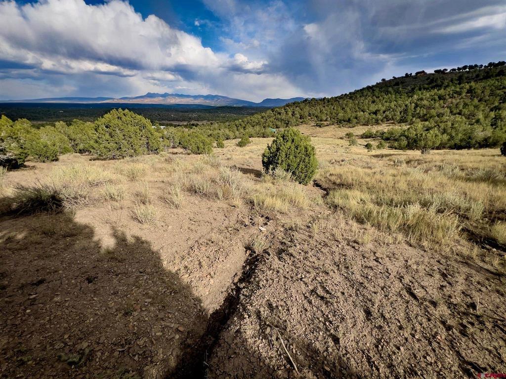 Tbd Road 35 Mancos CO 81328