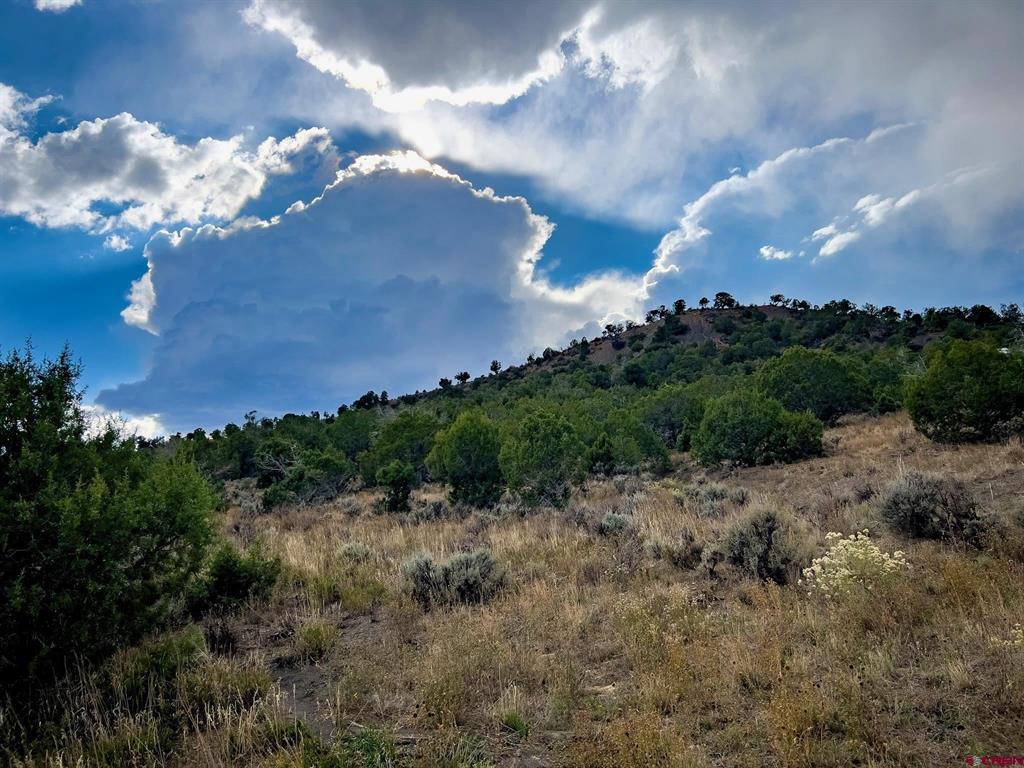 Tbd Road 35 Mancos CO 81328