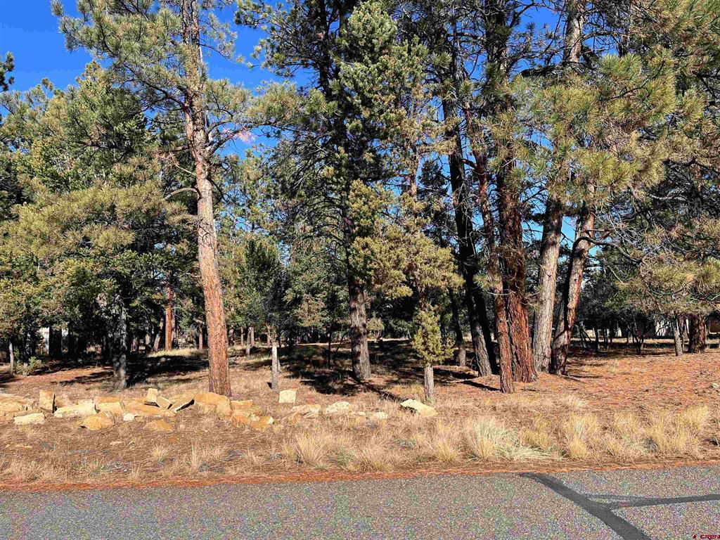 Tbd Bear Cub Drive Ridgway CO 81432