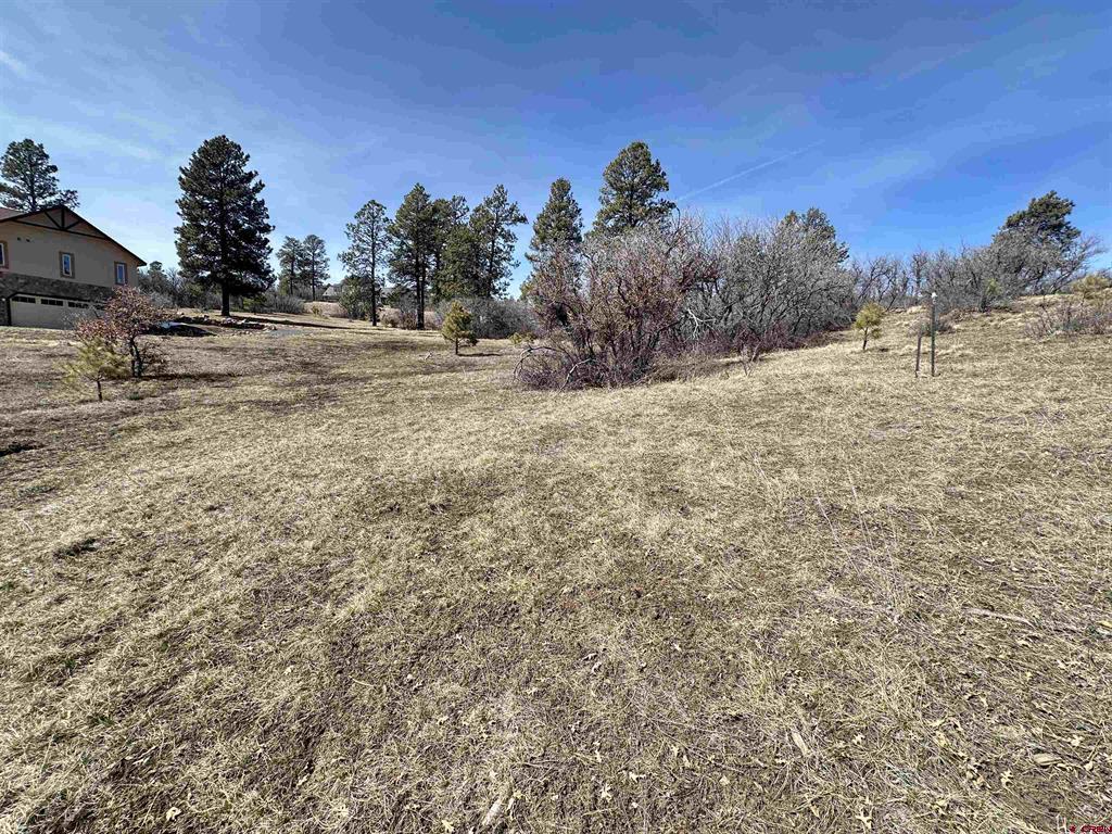 700 Clint Circle Pagosa Springs CO 81147