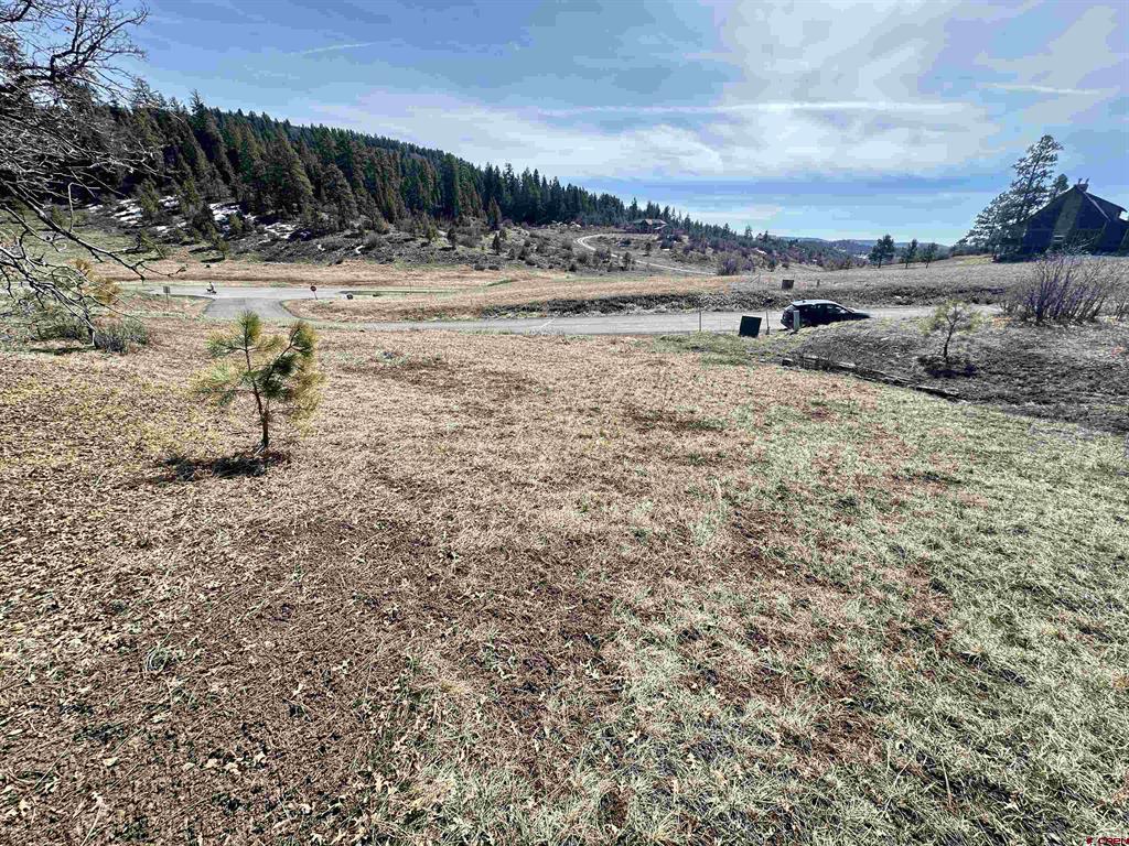 700 Clint Circle Pagosa Springs CO 81147