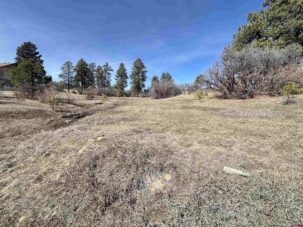 700 Clint Circle Pagosa Springs CO 81147