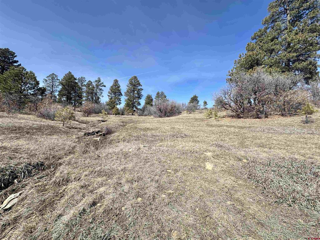 700 Clint Circle Pagosa Springs CO 81147