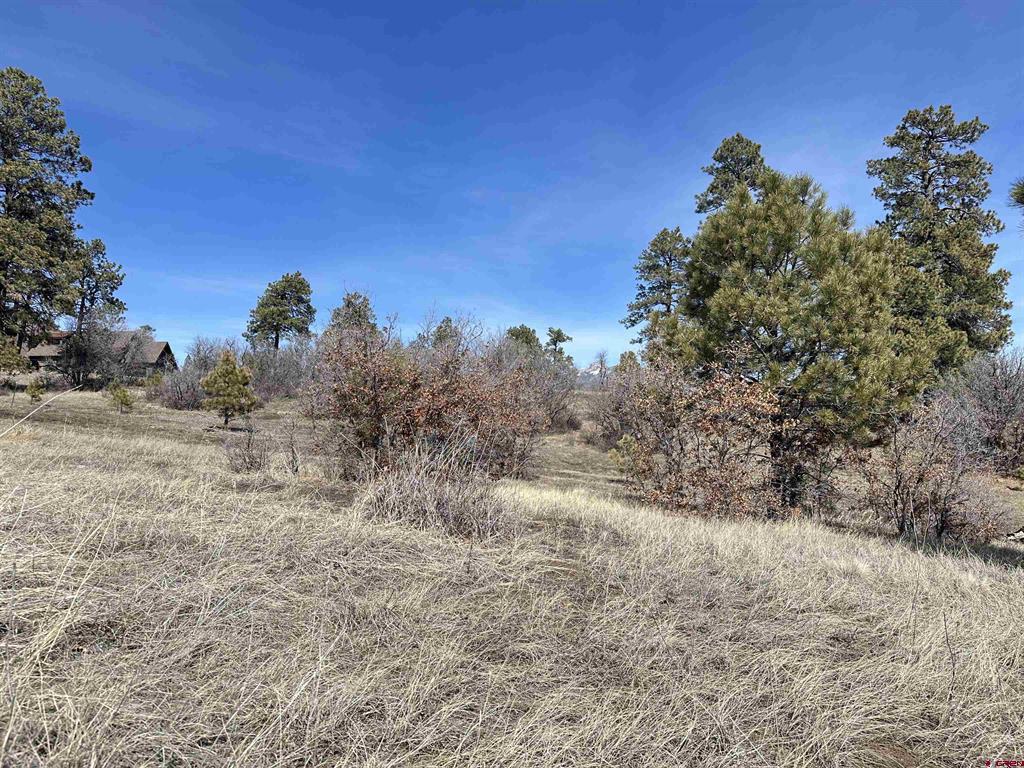 700 Clint Circle Pagosa Springs CO 81147