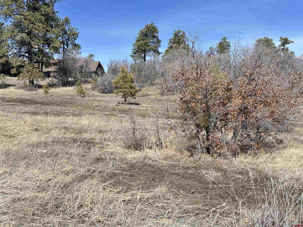 700 Clint Circle Pagosa Springs CO 81147