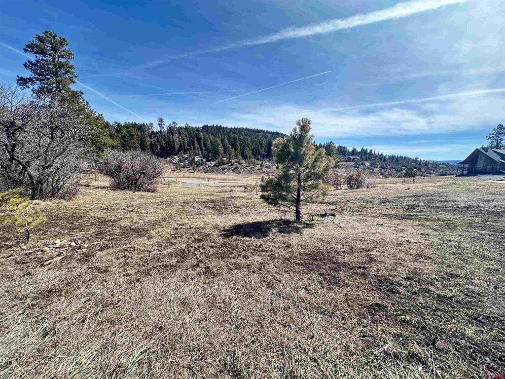 700 Clint Circle Pagosa Springs CO 81147