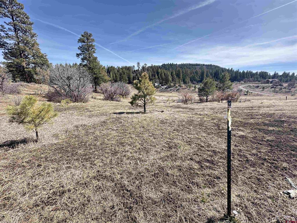 700 Clint Circle Pagosa Springs CO 81147