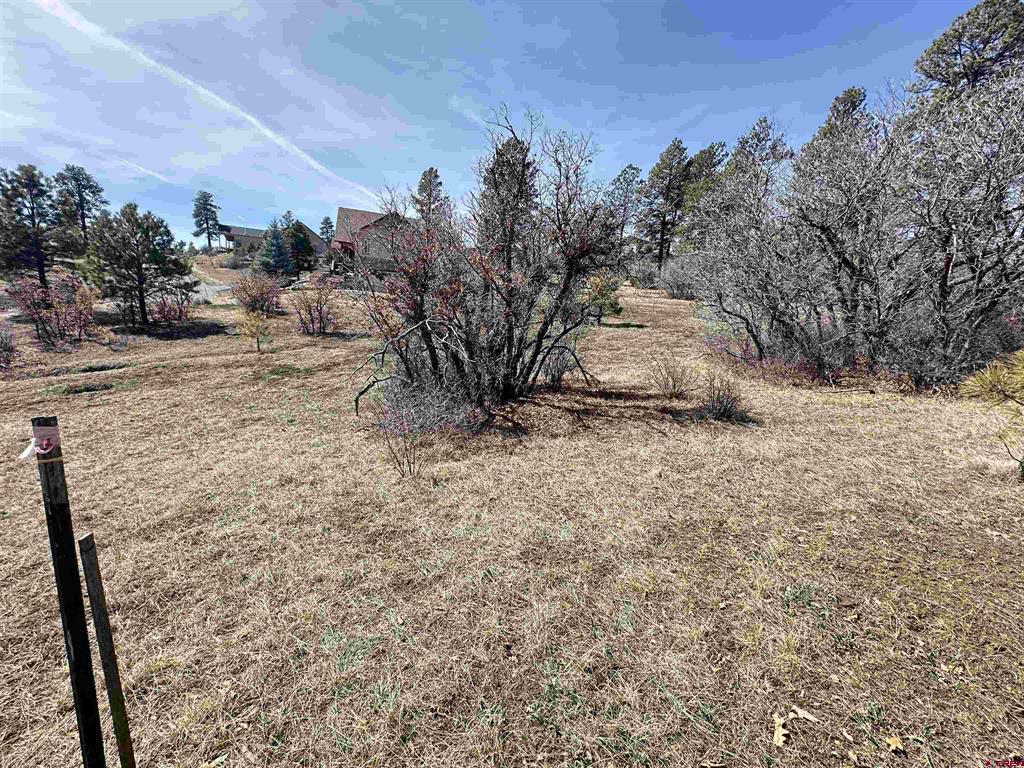 700 Clint Circle Pagosa Springs CO 81147