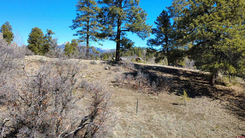 700 Clint Circle Pagosa Springs CO 81147