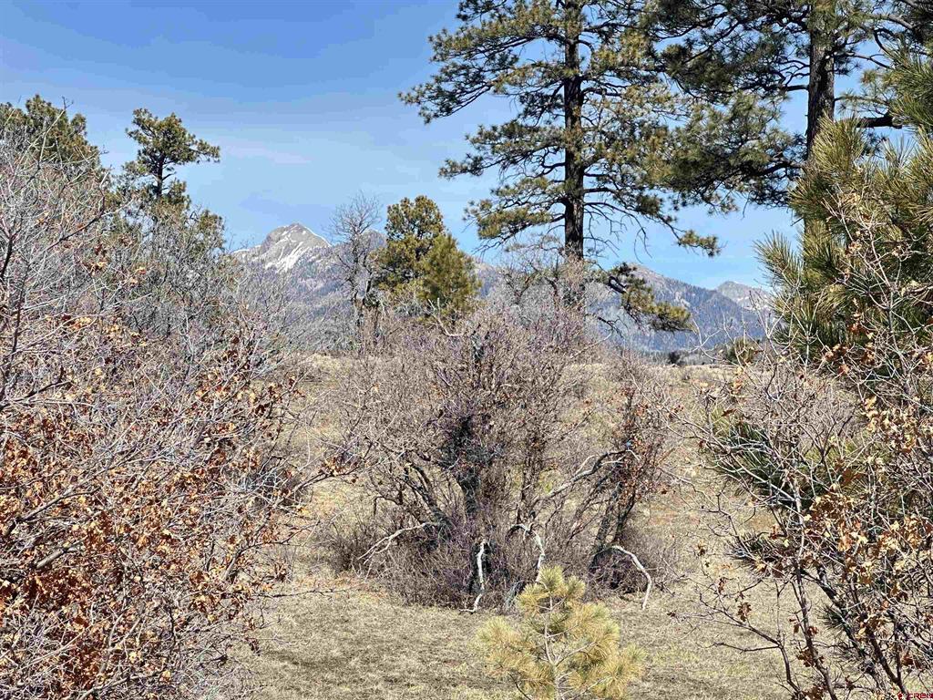 700 Clint Circle Pagosa Springs CO 81147