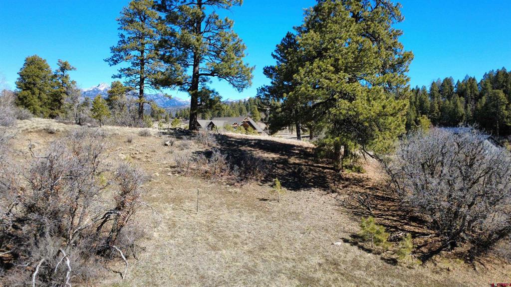 700 Clint Circle Pagosa Springs CO 81147