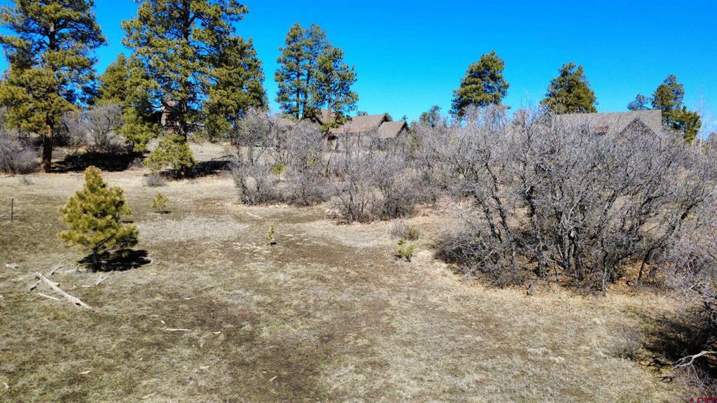 700 Clint Circle Pagosa Springs CO 81147