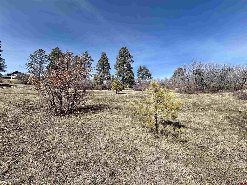 700 Clint Circle Pagosa Springs CO 81147