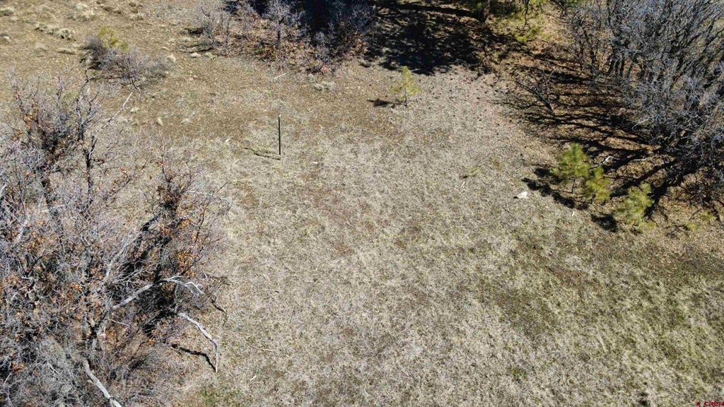700 Clint Circle Pagosa Springs CO 81147