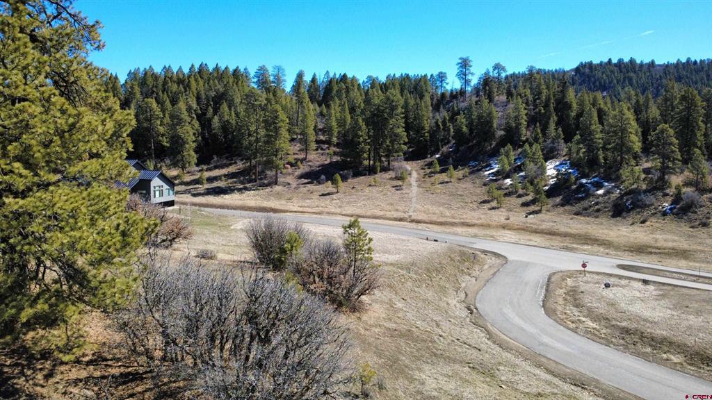 700 Clint Circle Pagosa Springs CO 81147