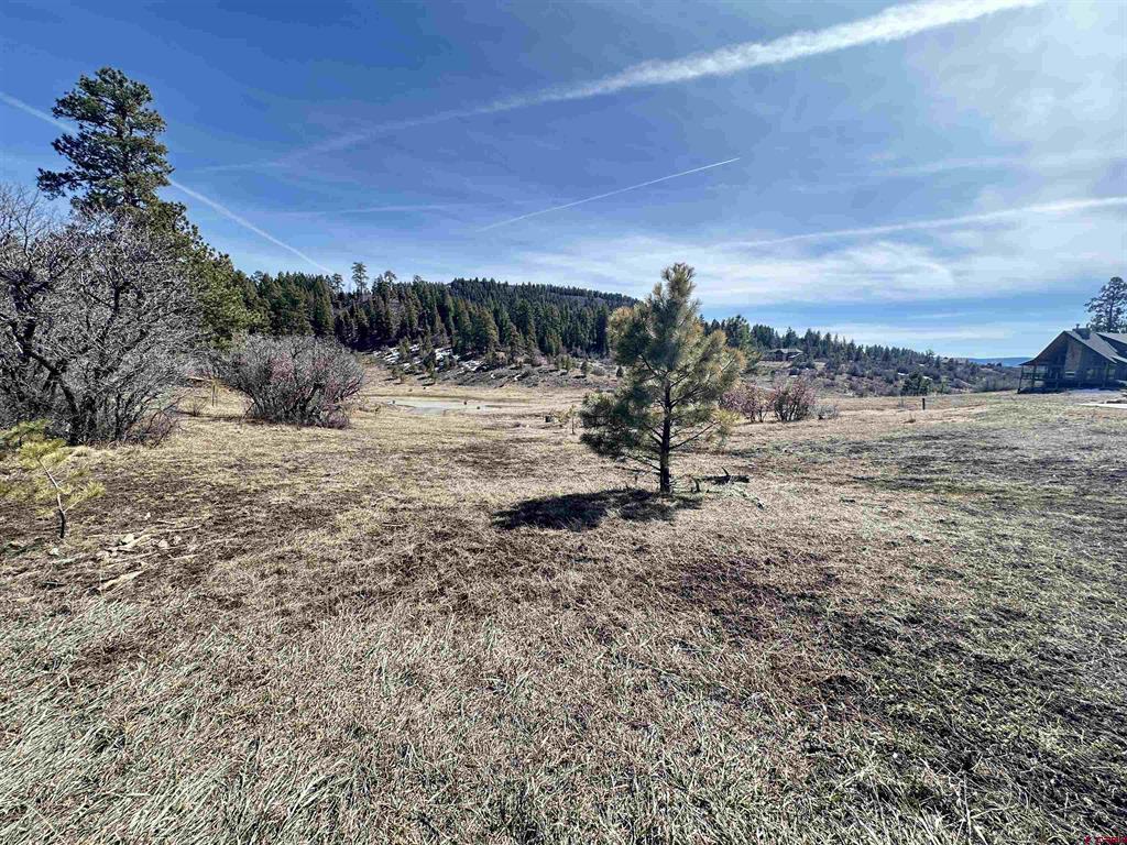 700 Clint Circle Pagosa Springs CO 81147
