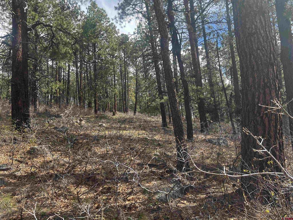 101 Pine Crest Drive Bayfield CO 81122