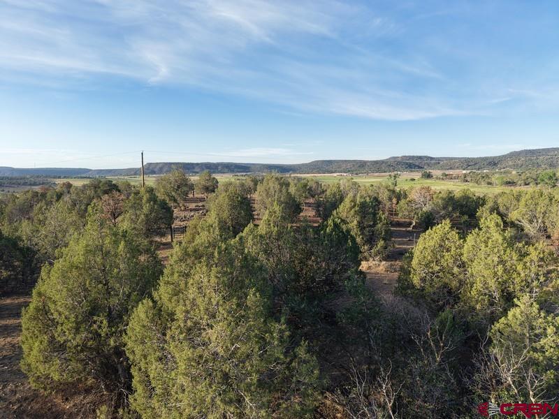 Tbd Cr 329 Ignacio CO 81137