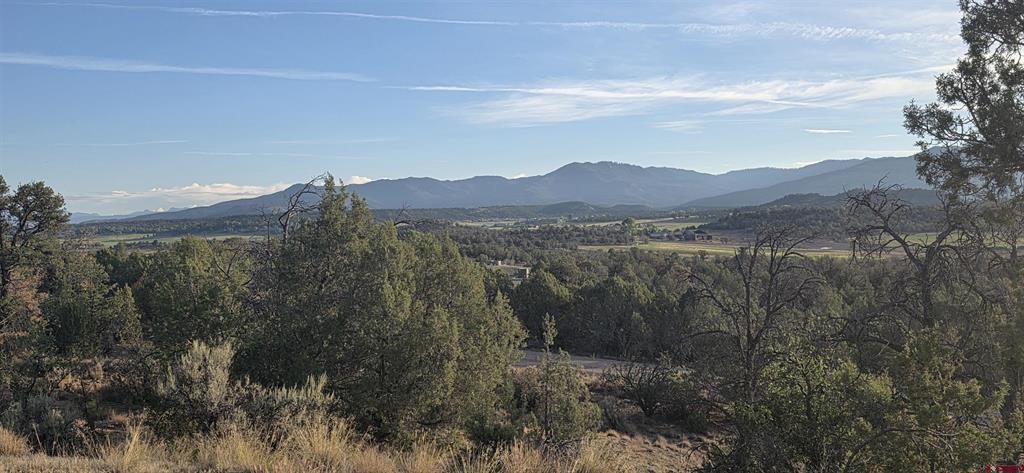 Tbd Cr 329 Ignacio CO 81137