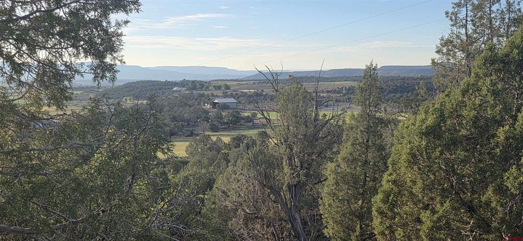 Tbd Cr 329 Ignacio CO 81137