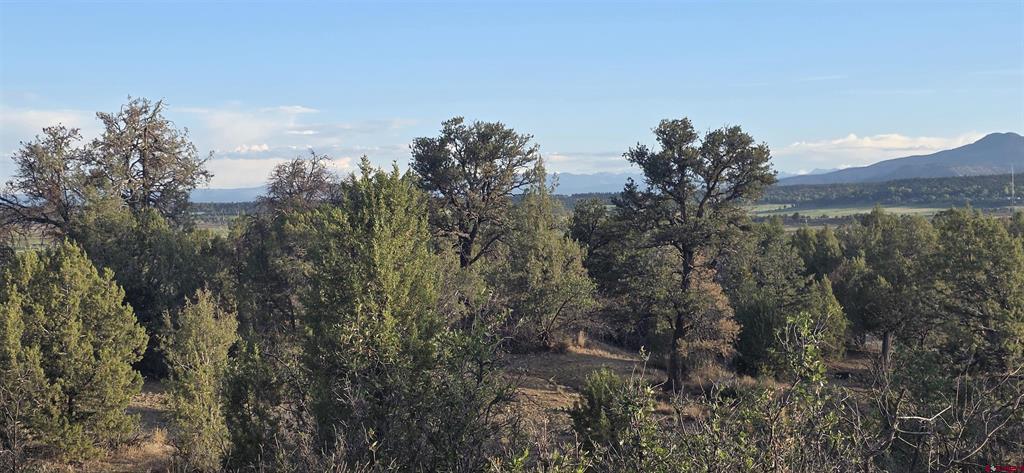 Tbd Cr 329 Ignacio CO 81137