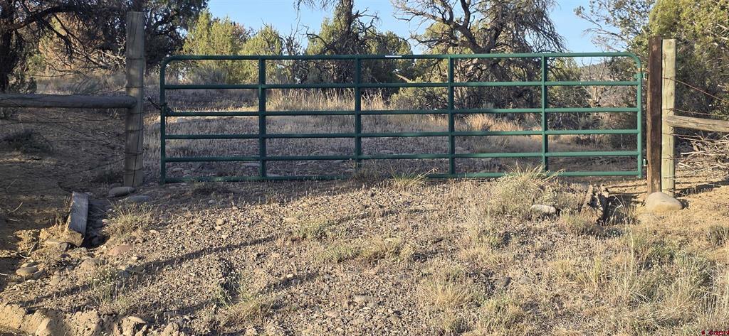 Tbd Cr 329 Ignacio CO 81137