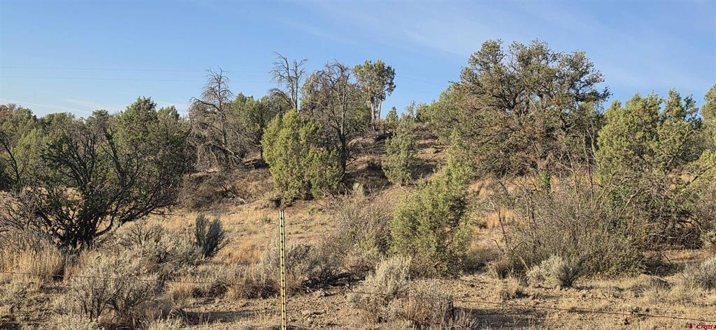 Tbd Cr 329 Ignacio CO 81137