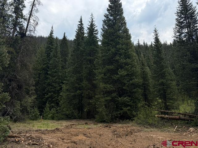 Lot 7 Overland Estates, Cr 110 Silverton CO 81433