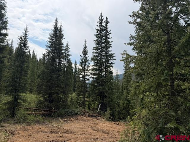 Lot 7 Overland Estates, Cr 110 Silverton CO 81433
