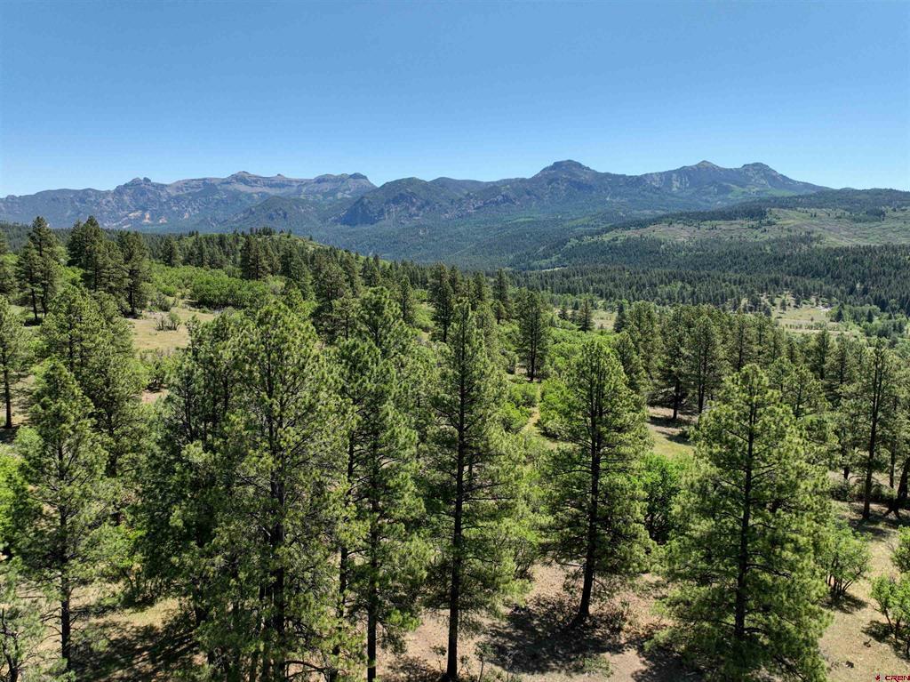 Tbd County Road 382 Pagosa Springs CO 81128