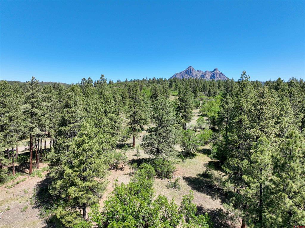 Tbd County Road 382 Pagosa Springs CO 81128