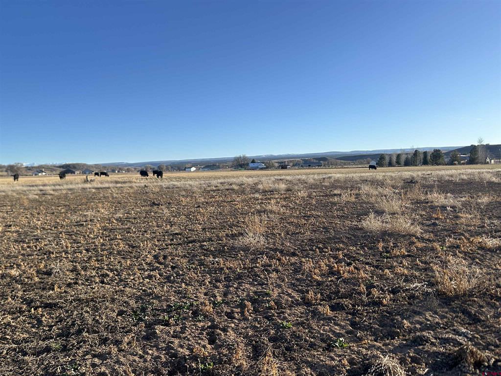 Tbd Lot 3 5800 Road Montrose CO 81403