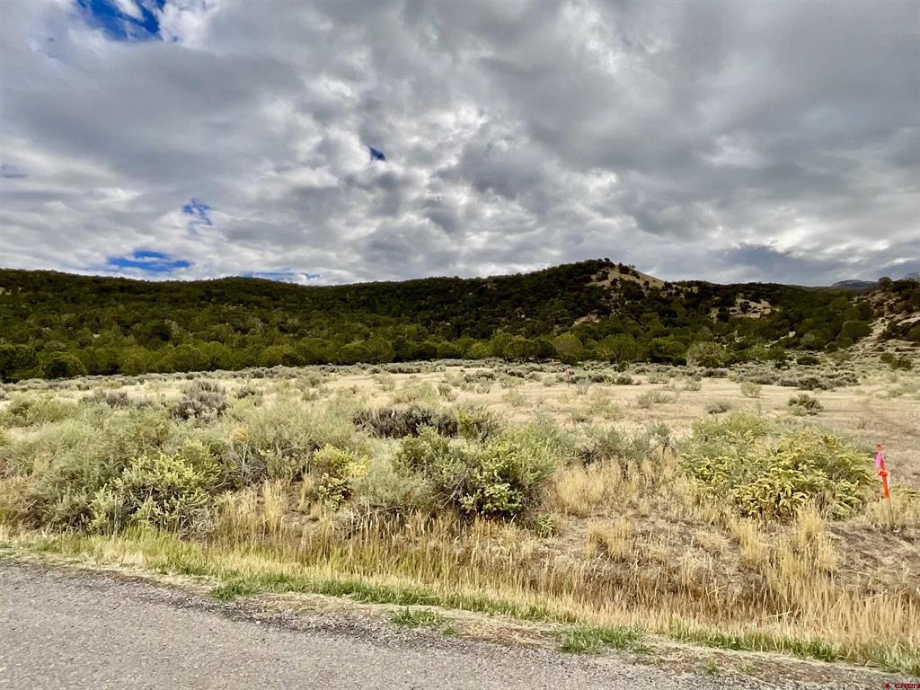 Tbd Lot 22 7250 Road Montrose CO 81403