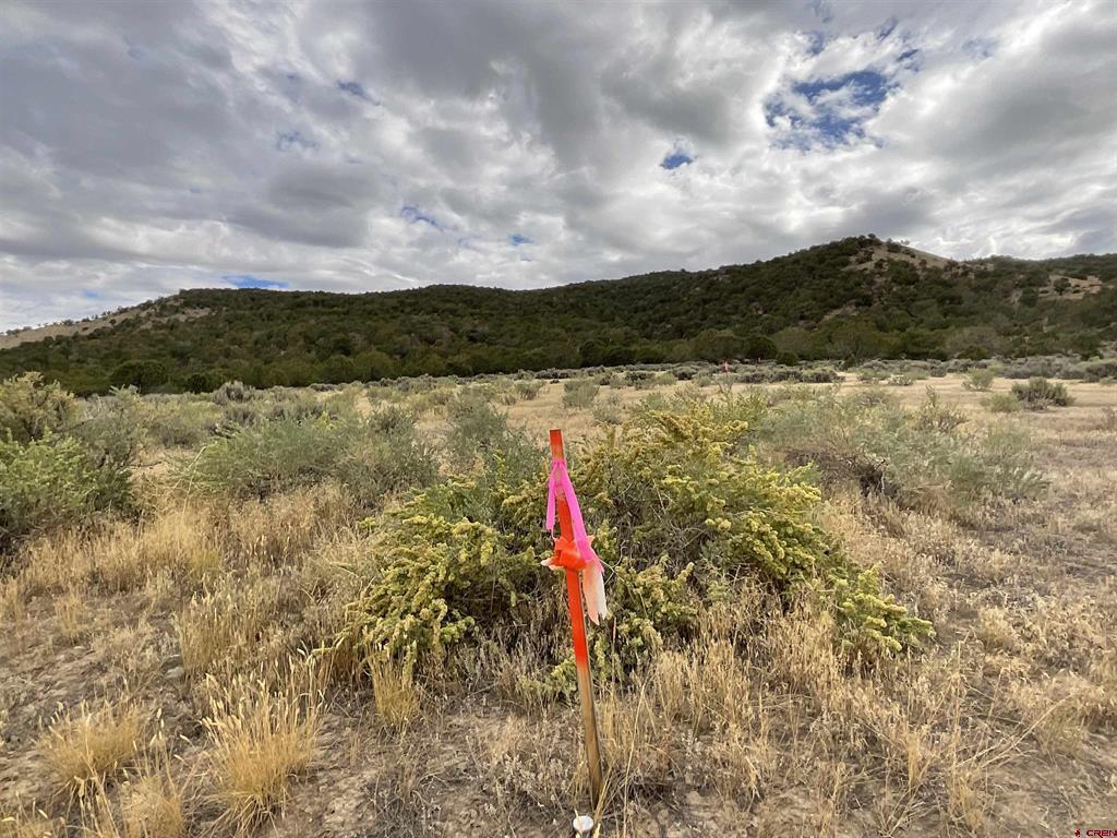 Tbd Lot 22 7250 Road Montrose CO 81403