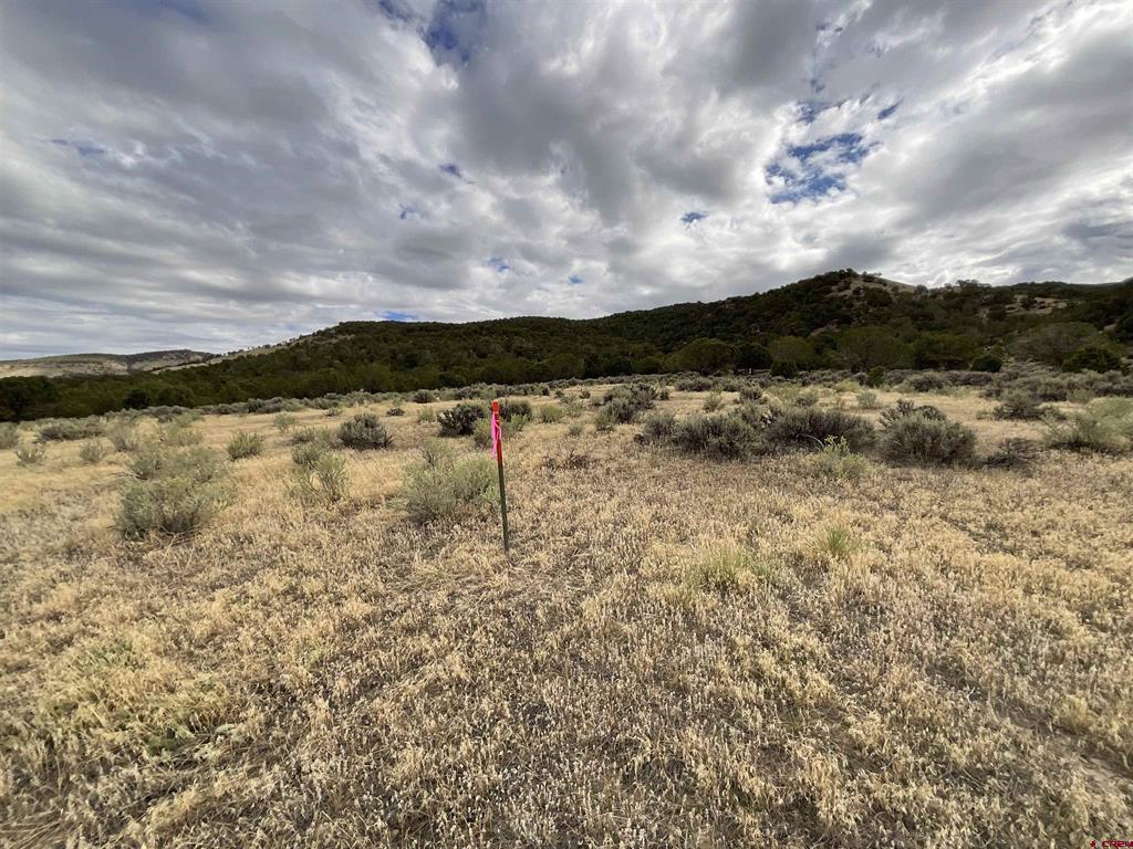 Tbd Lot 22 7250 Road Montrose CO 81403