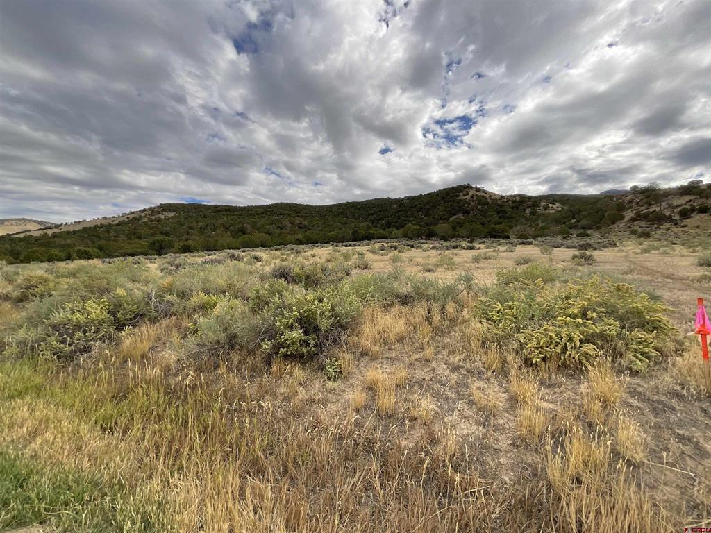 Tbd Lot 22 7250 Road Montrose CO 81403