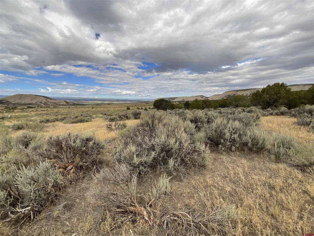 Tbd Lot 22 7250 Road Montrose CO 81403