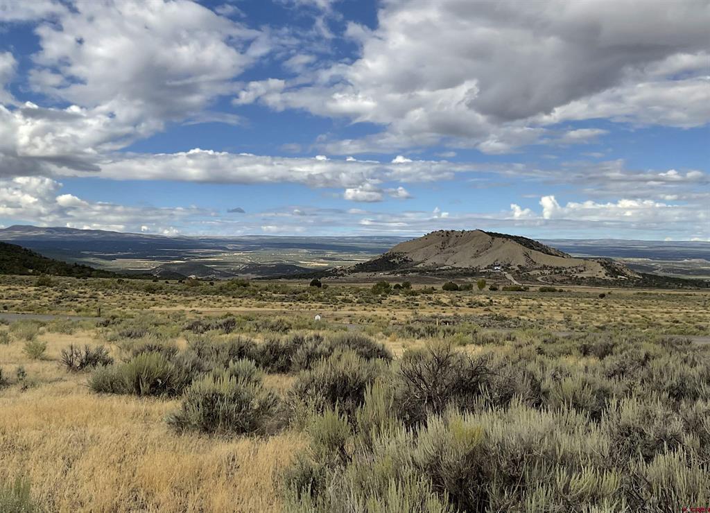 Tbd Lot 22 7250 Road Montrose CO 81403