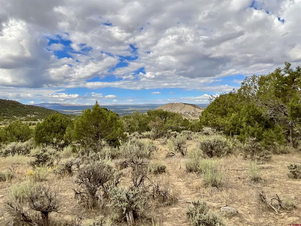 Tbd Lot 22 7250 Road Montrose CO 81403