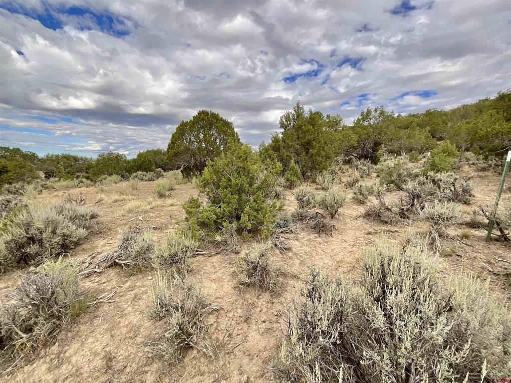 Tbd Lot 22 7250 Road Montrose CO 81403
