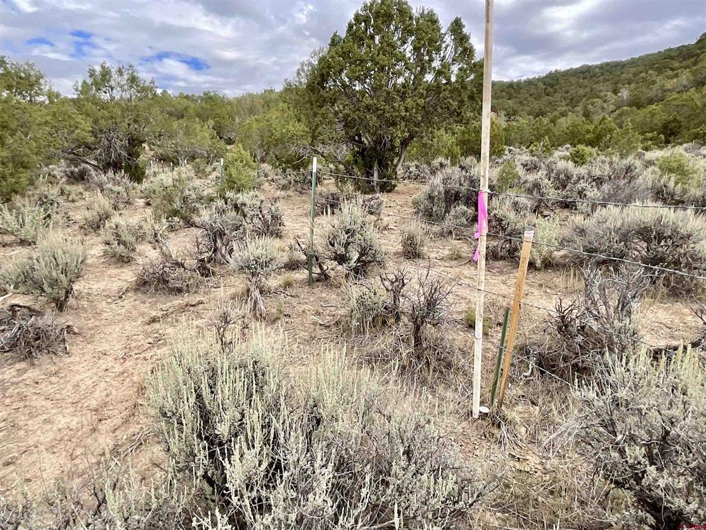 Tbd Lot 22 7250 Road Montrose CO 81403