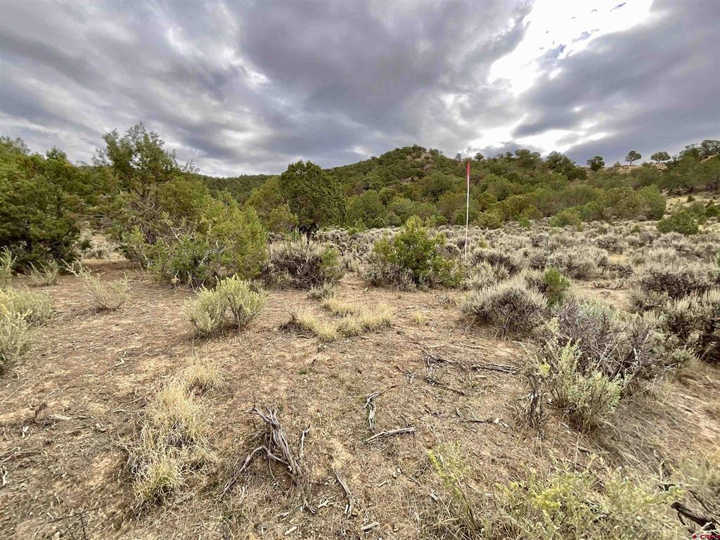 Tbd Lot 22 7250 Road Montrose CO 81403