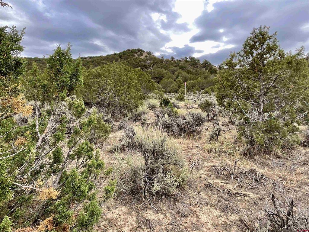 Tbd Lot 22 7250 Road Montrose CO 81403