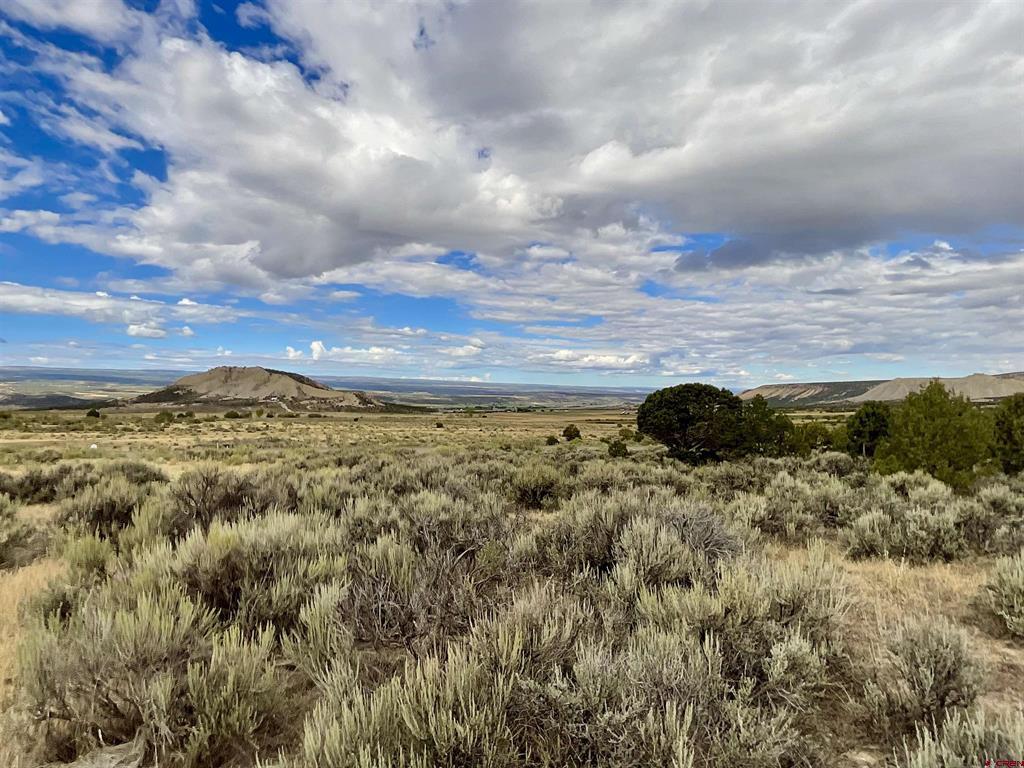 Tbd Lot 22 7250 Road Montrose CO 81403