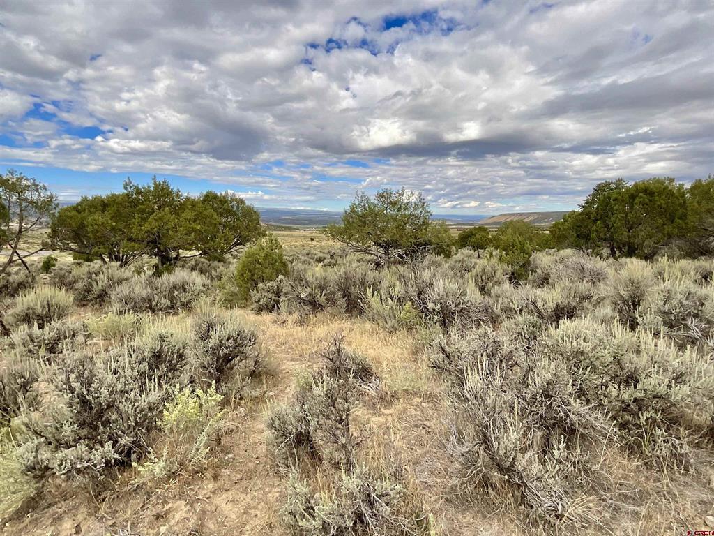 Tbd Lot 22 7250 Road Montrose CO 81403