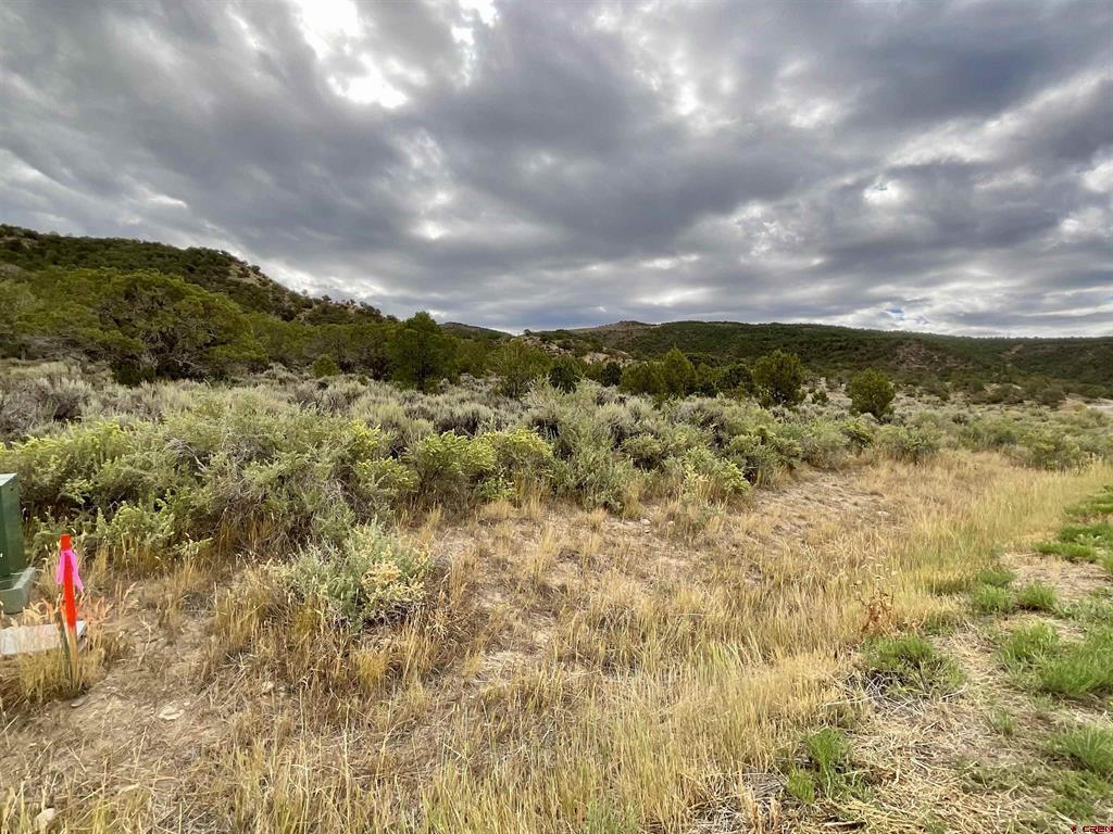 Tbd Lot 22 7250 Road Montrose CO 81403