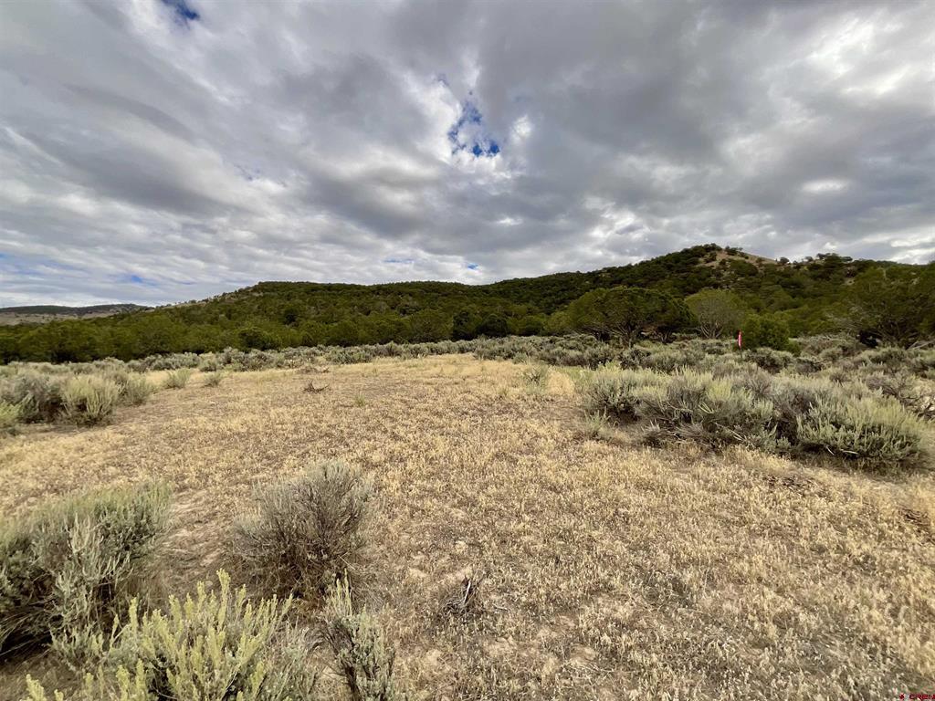 Tbd Lot 22 7250 Road Montrose CO 81403